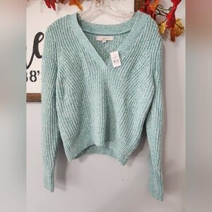 LOFT V-Neck Textured Knit Sweater in Mint